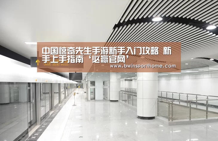 中国惊奇先生手游新手入门攻略 新手上手指南‘必赢官网’(图1) 必赢官方网站