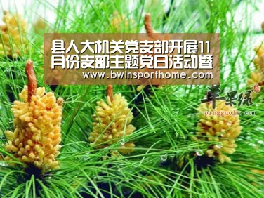 必赢直播