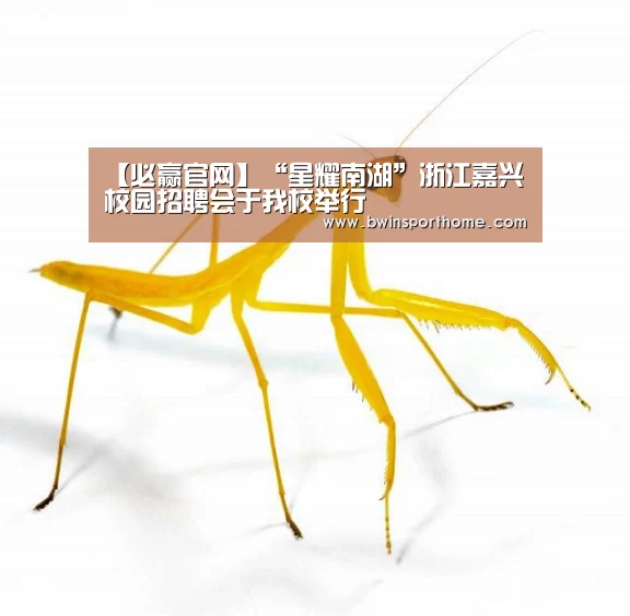 【必赢官网】“星耀南湖”浙江嘉兴校园招聘会于我校举行(图2) 必赢官网