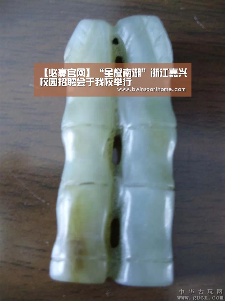 【必赢官网】“星耀南湖”浙江嘉兴校园招聘会于我校举行(图3) 必赢直播