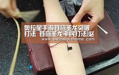 奥拉星手游苍穹圣龙突破打法 苍穹圣龙平民打法|必赢官方网站